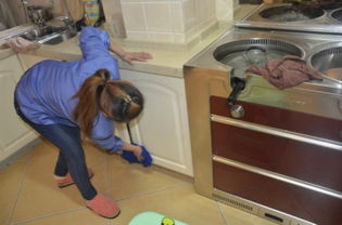 上海新聞,上海熱點(diǎn),政務(wù),金融,科創(chuàng)