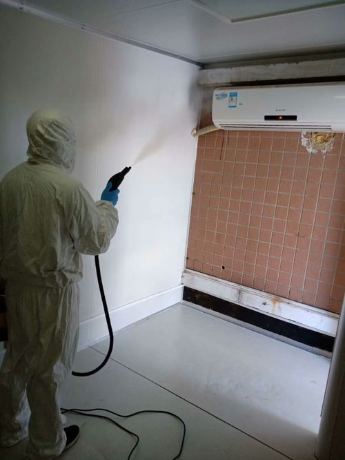 圖 楊家坪清潔服務(wù)公司 各種類型清潔小時(shí)專業(yè)服務(wù) 重慶家政