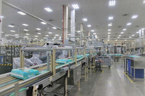 湖北高新技術(shù)產(chǎn)業(yè)與家政服務(wù)創(chuàng)新比翼齊飛，引領(lǐng)區(qū)域高質(zhì)量發(fā)展