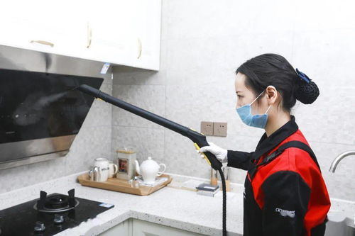 安心找家政，幸福購生活——三替集團(tuán)上演家政年貨盛宴